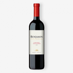 BENJAMIN MALBEC 750ML