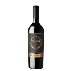 VINO TACAMA SELECCION ESP.TANNAT PETIT VERDOT