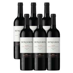 BENJAMIN MALBEC X6