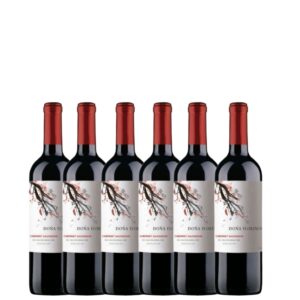 DOÑA FLORENCIA TINTO PACK